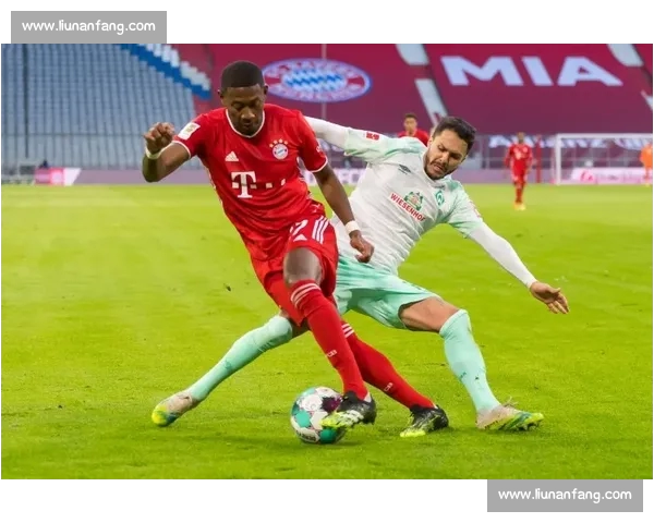 最新体育赛事动态解析：重磅转会消息、球队战绩与明星球员表现全面盘点